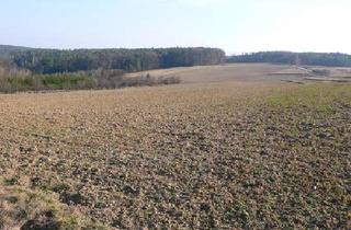 Grundstück zu kaufen in 7501 Oberdorf im Burgenland, Baugrund im Land der Sonne 4