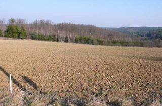 Grundstück zu kaufen in 7501 Oberdorf im Burgenland, Baugrund im Land der Sonne 5