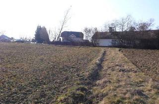 Grundstück zu kaufen in 7501 Oberdorf im Burgenland, Baugrund im Land der Sonne 2
