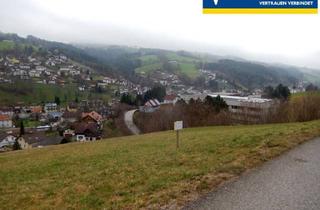 Grundstück zu kaufen in 3341 Ybbsitz, Baugrund in Ybbssitz