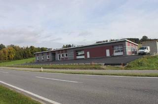 Gewerbeimmobilie mieten in 5142 Eggelsberg, Perfekter Auto - Verkausstandort
