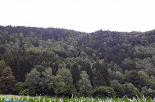 Immobilie kaufen in 9545 Radenthein, Waldparzelle - Millstättersee 7 ha mit hiebreifen Holzbestand