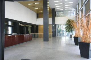 Büro zu mieten in Ares Tower, Donau-City Straße 11, 1220 Wien, Modernes Büro im Ares Tower zu mieten