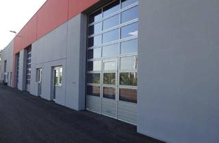 Büro zu mieten in 2100 Korneuburg, Hochwertige Mehrzweckhalle - als Produktionshalle geeignet - nähe S5!