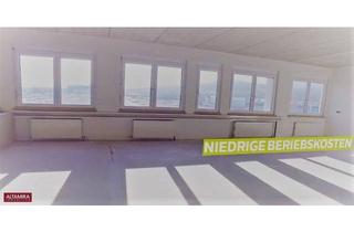 Büro zu mieten in 2351 Wiener Neudorf, Preiswerte, moderne Büros in perfekter Lage