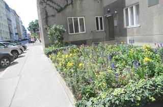 Wohnung mieten in Jacquingasse, 1030 Wien, Jacquingasse, Vienna