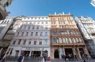 Büro zu mieten in Graben, 1010 Wien, All-inclusive-Zugang zu professionellen Büroräumen für 2 Personen in Regus Graben 19