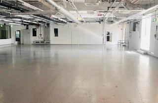 Büro zu mieten in 8380 Jennersdorf, Produktionsflächen inklusive Bürotrakt im Technologiezentrum Jennersdorf