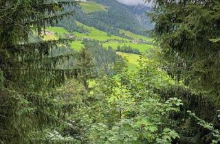 Gewerbeimmobilie kaufen in 6235 Reith im Alpbachtal, WALD - Bereich Reith im Alpbachtal & Alpbach