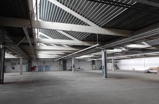 Büro zu mieten in 2100 Korneuburg, Mehrzweckhalle + Büro