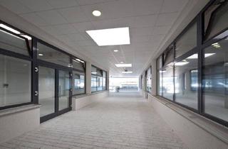 Wohnung mieten in Hauptplatz 13/Siegfried Ludwig-Straße 1-15, 3650 Pöggstall, PÖGGSTALL VI/1, geförderte Mietwohnung mit Kaufoption, 1 OG, St.1, Top 2, 1000/00010680/00001102
