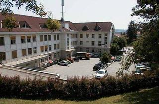 Gewerbeimmobilie mieten in 8230 Hartberg, Freistellplätze