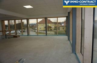 Büro zu mieten in 3372 Blindenmarkt, Neue moderne Praxis- oder Bürofläche, Raumteilung möglich