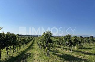 Grundstück zu kaufen in 3483 Wagram am Wagram, Sonnenschein, Wein und mehr!