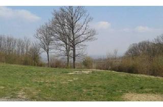 Grundstück zu kaufen in 3434 Katzelsdorf, Grünlandgrundstück