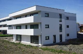 Wohnung kaufen in Wilhelm-Soukup-Weg, 4910 Ried im Innkreis, kompakte 2-Zimmer-Neubauwohnung mit Eigengarten Top 3/2