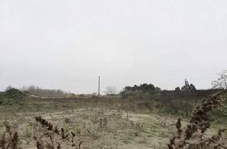 Grundstück zu kaufen in 2102 Bisamberg, SICHERE KAPITALANLAGE STATT INFLATION - GRUNDSTÜCK MIT HOHEM UMWIDMUNGSPOTENTIAL