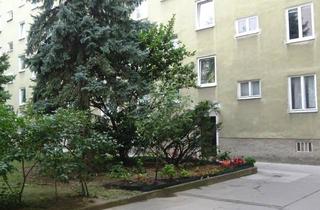 Wohnung mieten in Hauffgasse, 1110 Wien, 2 Zimmer, ruhig und hell, für WG geeignet, 3 Minuten zur U-Bahn, S7