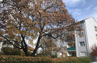 Wohnung mieten in Liebenauerhauptstrasse, 8041 Graz, Helle Wohnung 34 m2 , Privat, Graz Liebenau, Nähe Magna