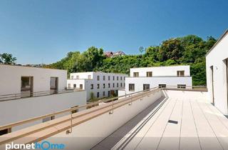 Wohnung kaufen in 3500 Krems an der Donau, Erstbezug : Neubau : 4-Zimmer-Wohnung : Terrasse