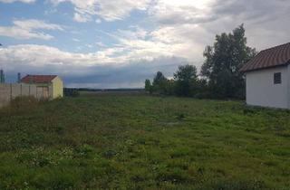 Grundstück zu kaufen in 3462 Absdorf, RARITÄT: BAUGRUNDSTÜCK IN ABSDORF OHNE BAUZWANG IN UNVERBAUBARER AUSSICHTSLAGE