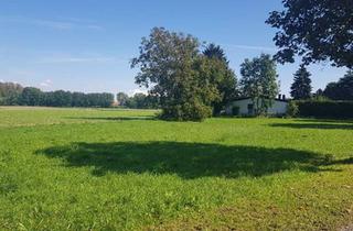Grundstück zu kaufen in 3484 Grafenwörth, GELDANLAGE OHNE BAUZWANG, PROJEKTLIEGENSCHAFT ODER IHR BAUGRUNDSTÜCK FÜR IHR TRAUMHAUS?