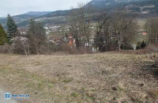 Grundstück zu kaufen in 9711 Paternion, Grundstück Paternion/ Nikelsdorf - nähe Feistritz/ Drau - mit Blick ins Drautal