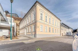 Wohnung kaufen in 3500 Krems an der Donau, Anleger aufgepasst: vermietete Altbau-Wohnung in zentraler Lage - Top 5