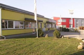 Büro zu mieten in 2102 Hagenbrunn, Multifunktionale Gewerbehalle