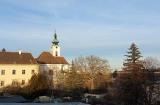 Wohnung mieten in Erzbischofgasse, 1130 Wien, PRIVAT 2 Zi-Apartment, sonnig, Eigengarten u Dachterrasse