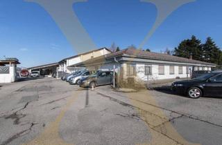 Büro zu mieten in 4063 Hörsching, Kalt-Lagerflächen in idealer Verkehrslage von Hörsching zu vermieten - PROVISIONSFREI