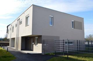 Haus mieten in 3253 Erlauf, Gefördertes Genossenschafts-Reihenhaus mit Eigengarten - Miete mit Kaufrecht