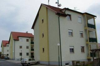 Wohnung mieten in 7561 Heiligenkreuz im Lafnitztal, Wohnung in Heiligenkreuz