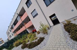 Genossenschaftswohnung in 2700 Wiener Neustadt, 2 Zim­mer-Woh­nung mit gro­ßem Bal­kon mit Kaufoption 3_25