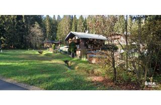 Haus kaufen in 6372 Oberndorf in Tirol, Sonniges Grundstück inkl. Altbestand in Oberndorf