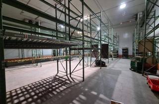 Geschäftslokal mieten in 6500 Landeck, Landeck: Großräumige Gewerbe- und Lagerflächen (Hochlager) zu vermieten (bis zu 2.000 m²)