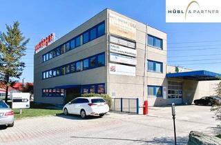 Lager mieten in Iz Nö Süd Straße 14 Objekt 12, 2351 Wiener Neudorf, Lager-Produktionshalle 1.105 m2 mit 2900 m2 Freiflächen - 6Stellplätzen und 165 m2 Meisterbüro