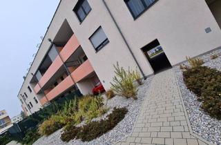 Genossenschaftswohnung in 2700 Wiener Neustadt, 2 Zimmer-Gartenwohnung mit Kaufoption 3_3