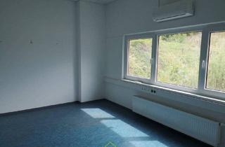 Büro zu mieten in 3130 Herzogenburg, freie Büroflächen in Betriebshalle