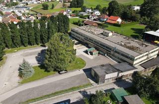 Gewerbeimmobilie kaufen in 2640 Gloggnitz, GROSSZÜGIGE GEWERBELIEGENSCHAFT