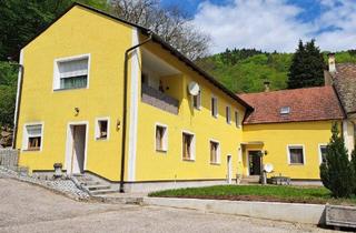 Haus kaufen in 3392 Schönbühel an der Donau, 3 Wohneinheiten und Lagerflächen- Anlageobjekt