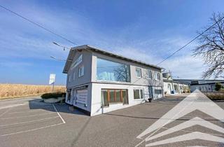 Büro zu mieten in Gutauerstraße 42, 4230 Pregarten, 275 m² Praxis / Büro in Pregarten! Ärzte & Therapeuten willkommen