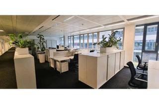 Büro zu mieten in Kranichberggasse, 1120 Wien, Modern Working im Euro Plaza