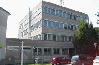 Büro zu mieten in 2460 Bruck an der Leitha, Zentrumsnahe Büroflächen