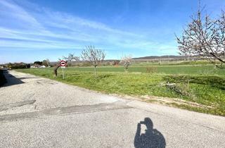 Grundstück zu kaufen in 7092 Winden am See, Bauträgergrundstück in Winden am See mit Bebauungstudie