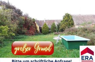 Haus kaufen in 2165 Kleinschweinbarth, Kleinschweinbarth KAUF - Großes Grundstück mit renovierungsbedürftigem Haus