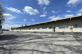 Büro zu mieten in Rautenweg, 1220 Wien, Sanierte Lagerflächen mit Abholshop beim Rautenweg