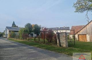 Haus kaufen in 3751 Rodingersdorf, ANWESEN mit WOHNEN - ARBEITEN - LEBEN Wohnung - Gasthaus - Baugrund
