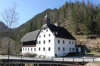 Gewerbeimmobilie kaufen in 8924 Wildalpen, Wunderschöne Landschaft, im Herzen von Österreich!