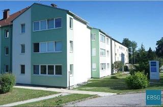 Wohnung mieten in Hauptstraße WE 8, 3871 Alt-Nagelberg, 3-Zimmerwohnung im 1. OG mit Balkon
